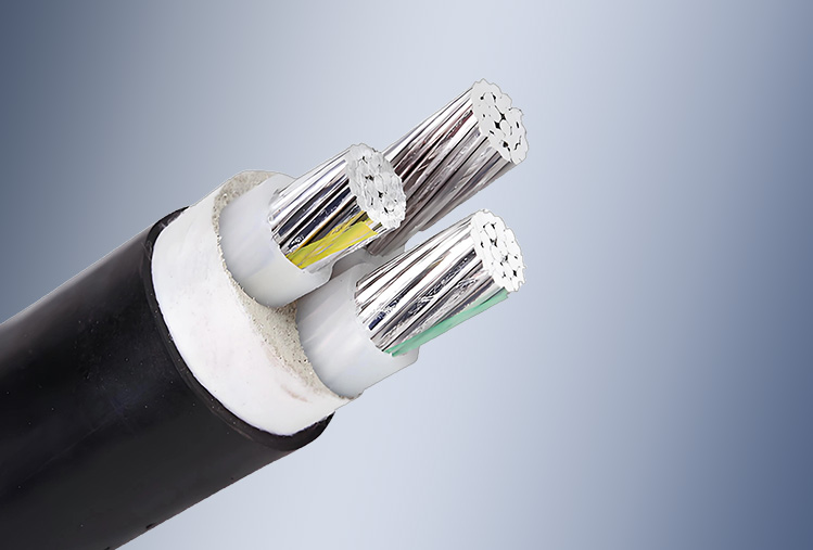 AAC/AAAC – XLPE – PVC/LSZH Cable de Aleación de Aluminio, Unipolar, con Cubierta y sin Armadura